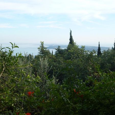 Ha Mar ao Luar Hotell Setúbal Exteriör bild