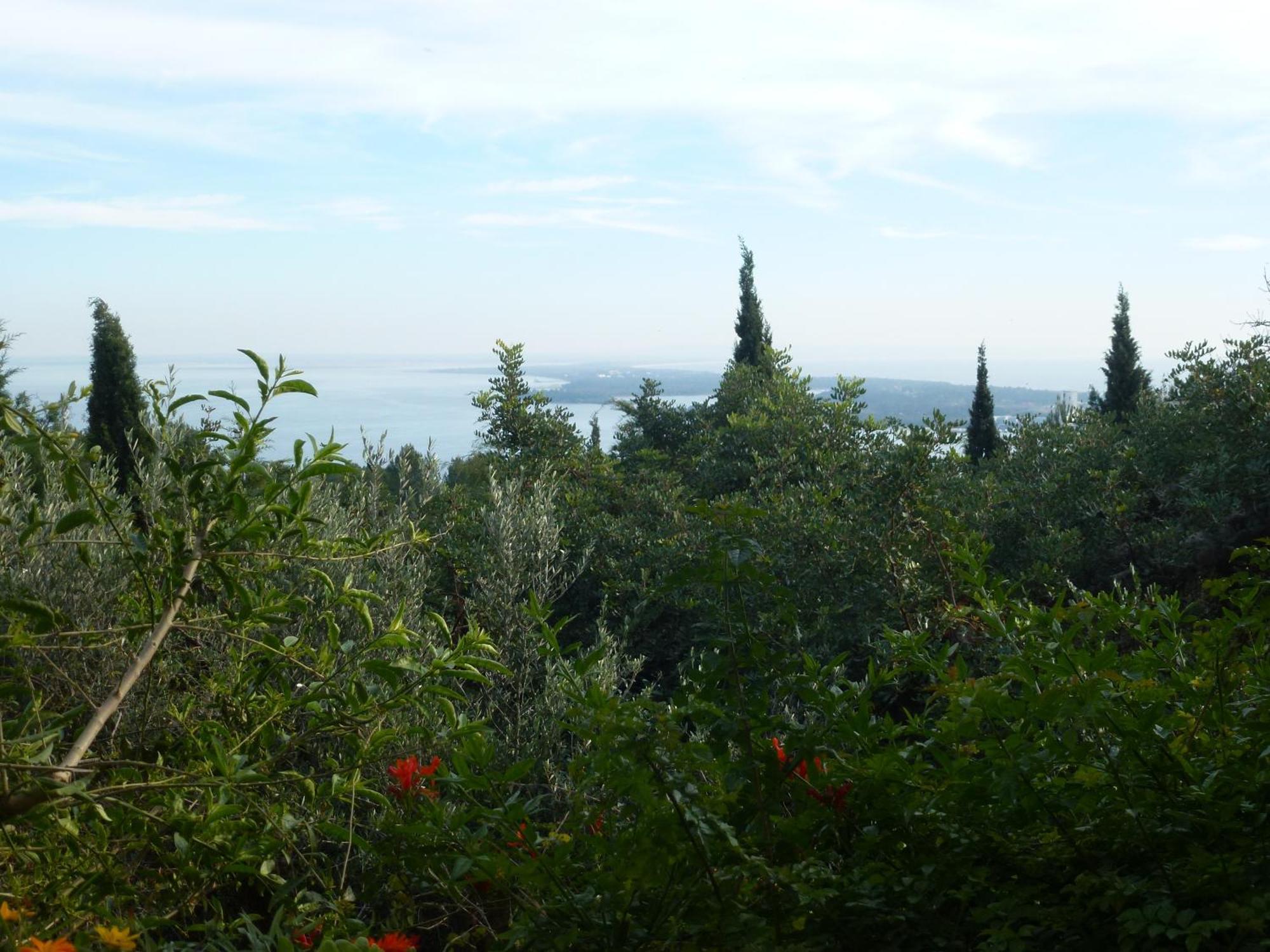 Ha Mar ao Luar Hotell Setúbal Exteriör bild