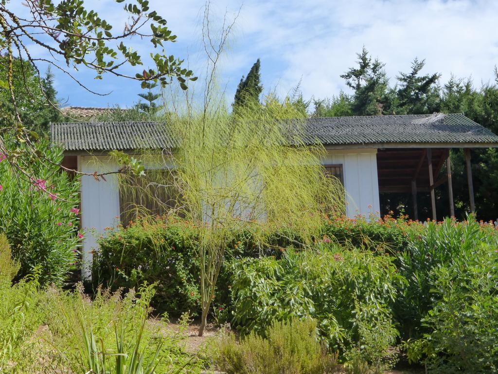 Ha Mar ao Luar Hotell Setúbal Exteriör bild